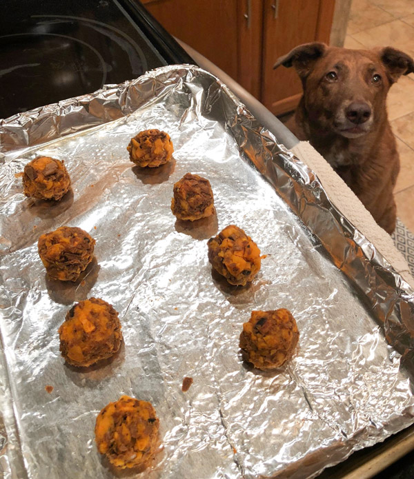 DIY Turkey Meatballs for Dogs Recipe