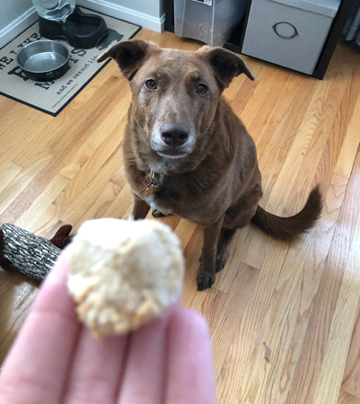 DIY Peanut Butter Truffles for Dogs Recipe