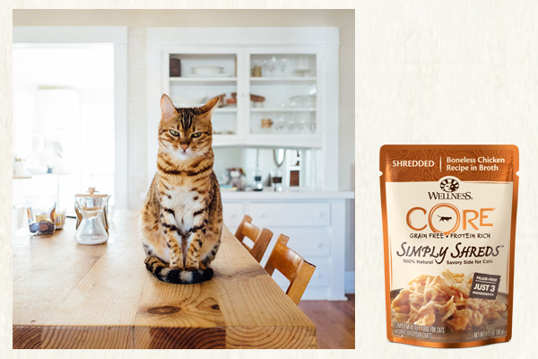 The Wellness CATalog: Decoding curious cat behaviors and finding food to fit each