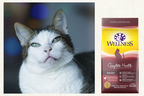 The Wellness CATalog: Decoding curious cat behaviors and finding food to fit each