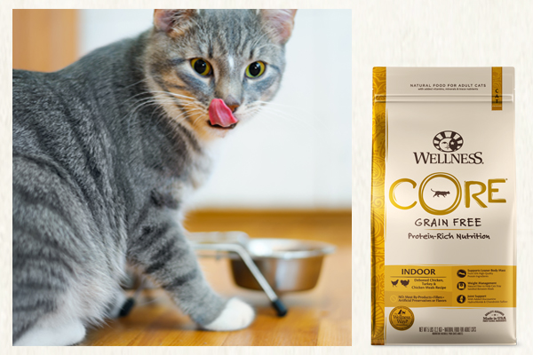 The Wellness CATalog: Decoding curious cat behaviors and finding food to fit each