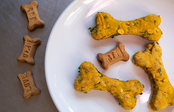 Three Healthy Holiday Treats That Your Dog Will Love