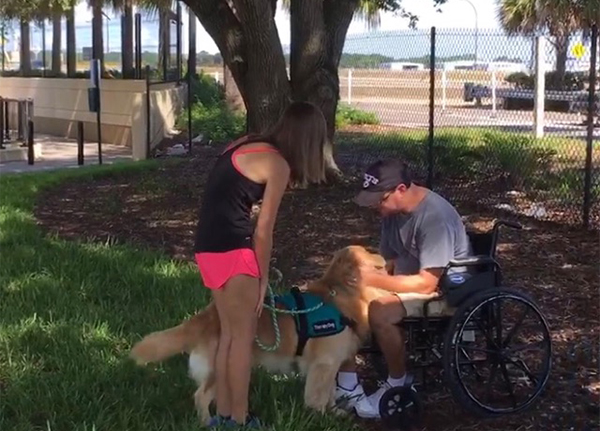 Kono the Golden Retriever Becomes a Therapy Dog