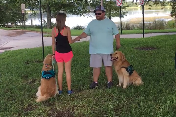 Kono the Golden Retriever Becomes a Therapy Dog