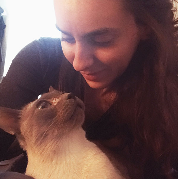 6 Proven Breed Stereotypes from a Professed Siamese Cat Fanatic