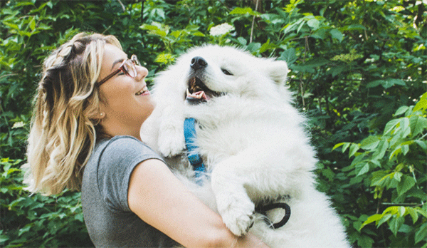 The 10 Common Traits of Top-Notch Pet Sitters