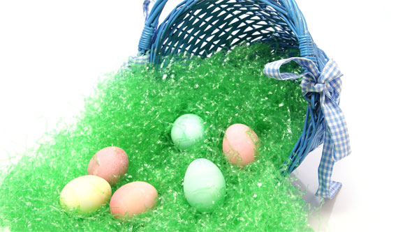 A Veterinarian&#039;s Top 5 Easter Hazards for Pets