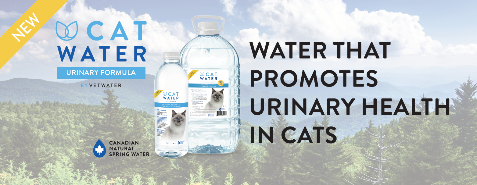 Feline Urinary Health Solutions